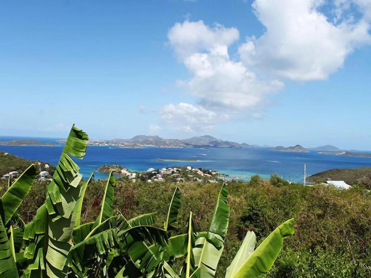 Serene Cruz Bay Villa Sep Mstr Kg Suite Stunning Sunsets 外观 照片